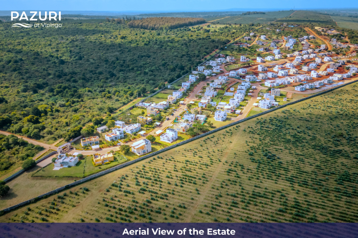 Pazuri At Vipingo