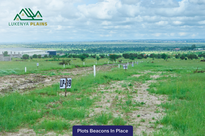 Lukenya Plains